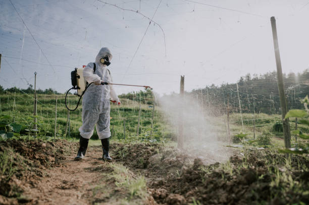 Best Best Pest Control Companies  in Woodsboro, TX