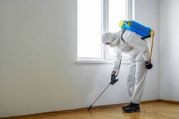 Professional Pest Control in Woodsboro, TX