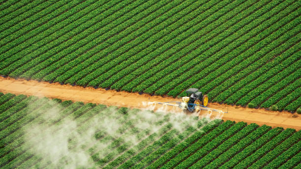 Best Mosquito Control Services  in Woodsboro, TX