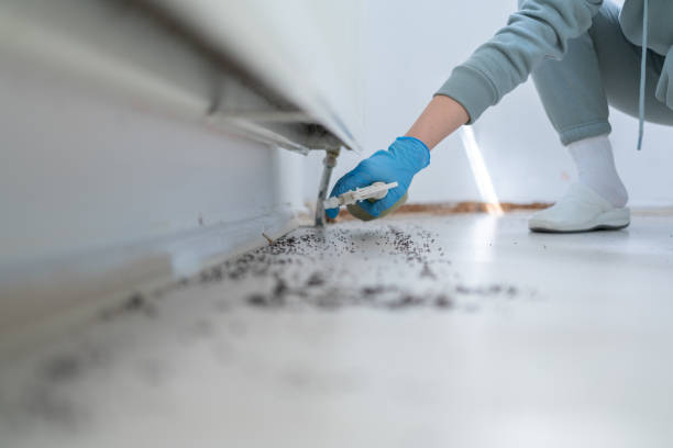 Best Residential Pest Control  in Woodsboro, TX